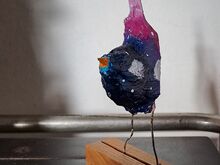 20250707_093323.jpg